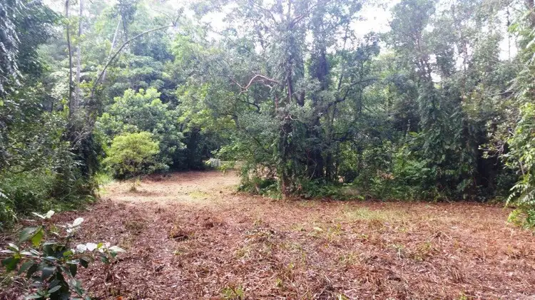 Fifth view of Homely land listing, 68 Forest Creek Road, Daintree QLD 4873