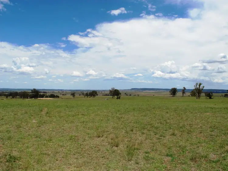 Lot B - 405 Blue Springs Road, Mudgee NSW 2850
