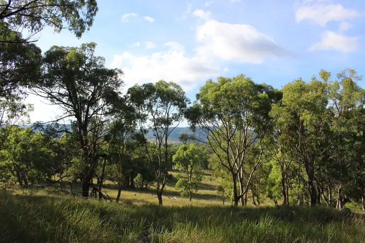 Fourth view of Homely rural property listing, 78 Platypus Valley, Tenterfield NSW 2372