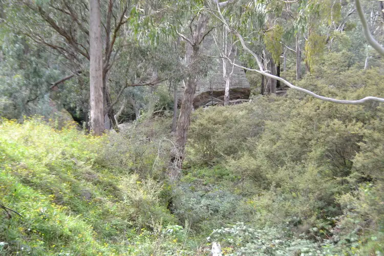 Sixth view of Homely rural property listing, 6502 Castlereagh Highway, Mudgee NSW 2850