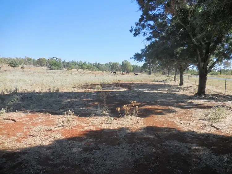 Lot 1 Abattoir Road, Griffith NSW 2680