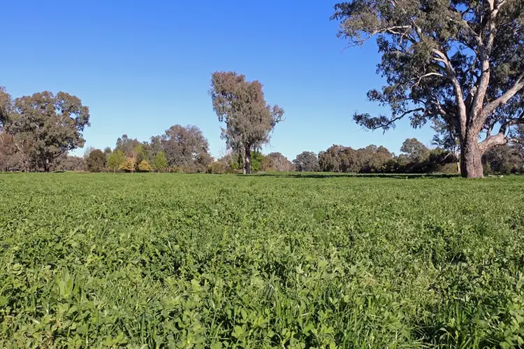 Fifth view of Homely rural property listing, 'The Island' Trabants Road, Bonegilla VIC 3691