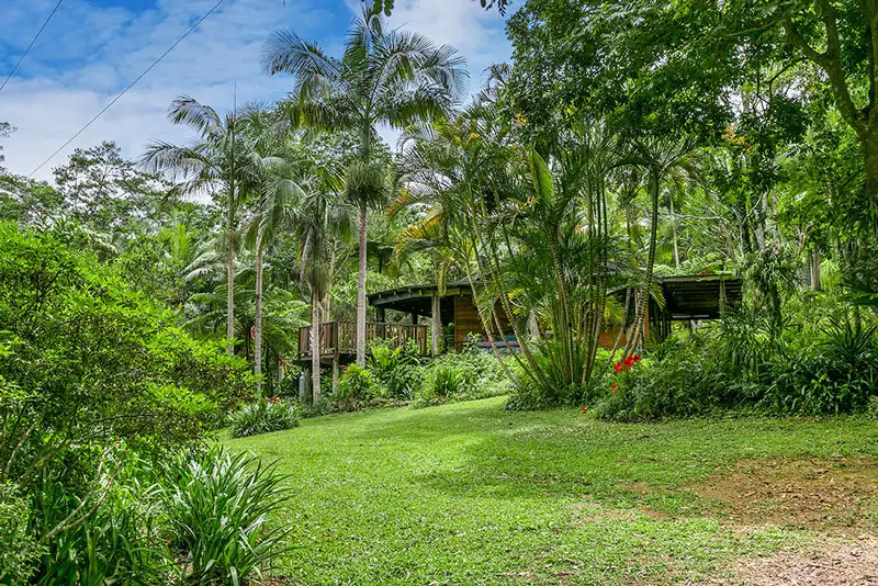 Main view of Homely rural property listing, # 321 Coopers Creek Road, Upper Coopers Creek NSW 2482
