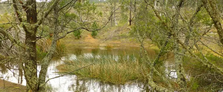 Sixth view of Homely rural property listing, Lot 1 & 217 Kain Cross Road, Krawarree NSW 2622