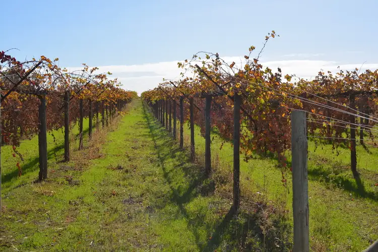 Fourth view of Homely rural property listing, 78 Nealie Street, Cardross VIC 3496