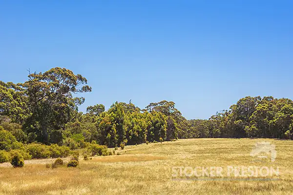 Third view of Homely rural property listing, Lot 102 Scott Road, Karridale WA 6288