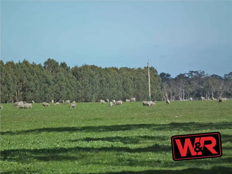 Fifth view of Homely rural property listing, Lot 154 Rogers Road, Porongurup WA 6324