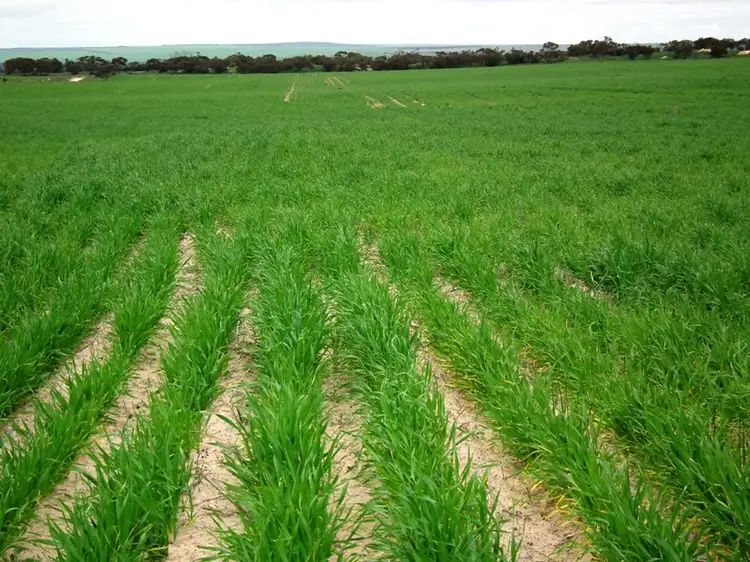 Taragoro Road, Rudall, Cleve SA 5640