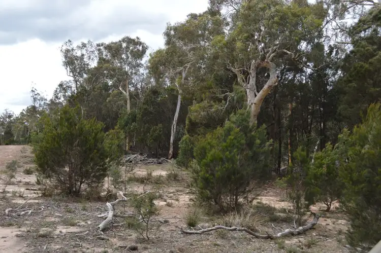 Sixth view of Homely rural property listing, 260 Sturgiss Lane, Tarago NSW 2580