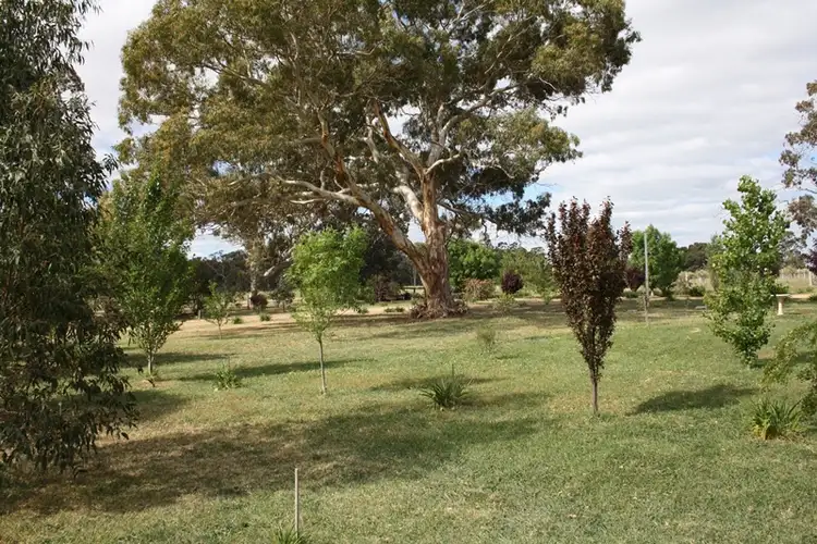 Second view of Homely rural property listing, 1020 Boddington West Road, Naracoorte SA 5271