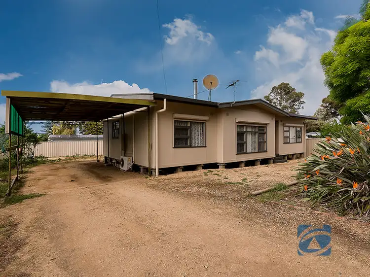 Main view of Homely house listing, 4 Shanahan Street, Freeling SA 5372