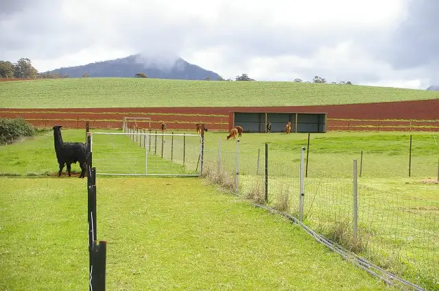 Fourth view of Homely rural property listing, 548 Preston Road, North Motton TAS 7315
