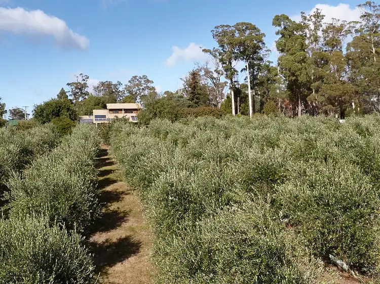 Second view of Homely rural property listing, 2670 West Tamar Highway, Exeter TAS 7275