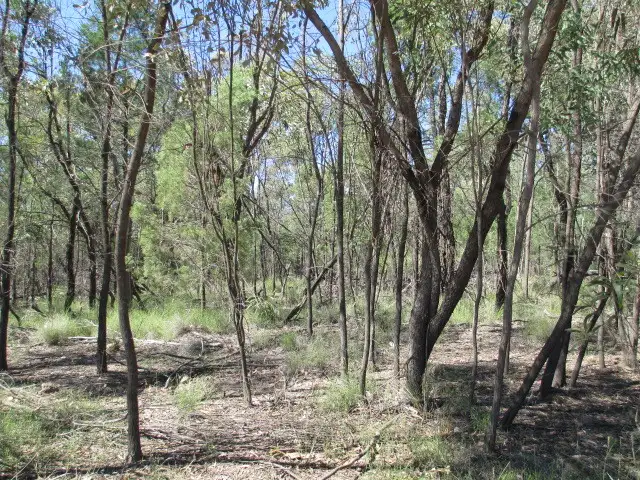 Second view of Homely rural property listing, LOT 358 DAYBREAK ROAD, Tara QLD 4421