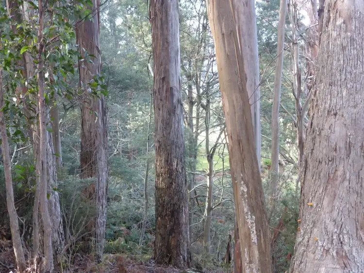 Seventh view of Homely land listing, Lot 1 Hanlons Road, Ellendale TAS 7140