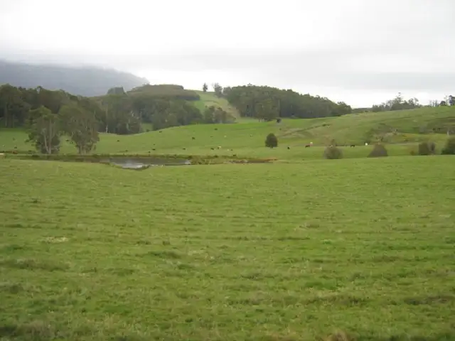 Main view of Homely rural property listing, - Browns Hill Road, Sheffield TAS 7306
