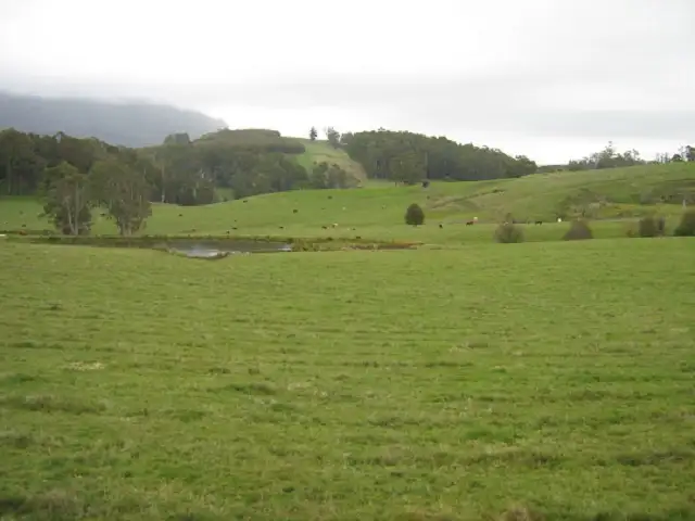 Main view of Homely rural property listing, - Browns Hill Road, Sheffield TAS 7306