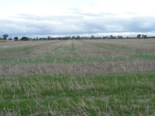 Second view of Homely rural property listing, 61 Rogersons Rd. Riverside, Horsham VIC 3400