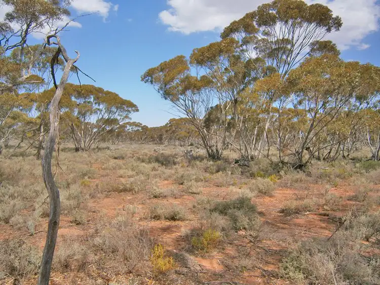 Fifth view of Homely rural property listing, 27 McKay Road, Blanchetown SA 5357