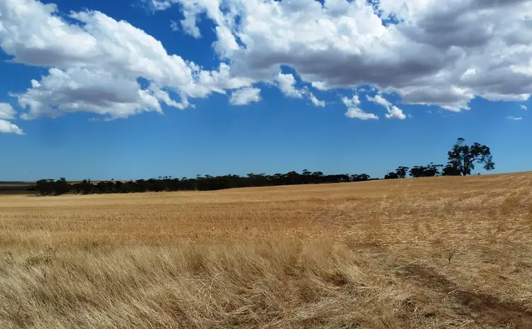 Third view of Homely rural property listing, Weetbix's Bennie Road, Wirrulla SA 5661
