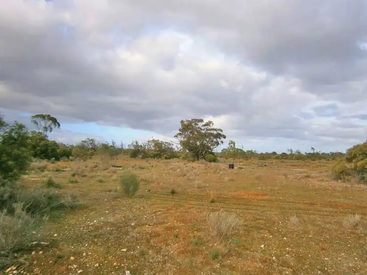 Sixth view of Homely rural property listing, Section 208 & 209 Stott Highway, Swan Reach SA 5354