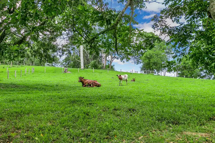 Third view of Homely rural property listing, Address available on request