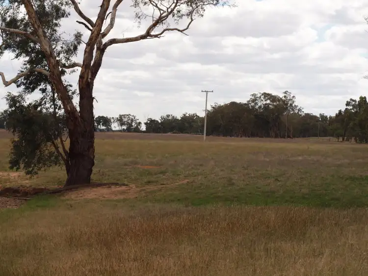 - Blackwood Avenue, Temora NSW 2666