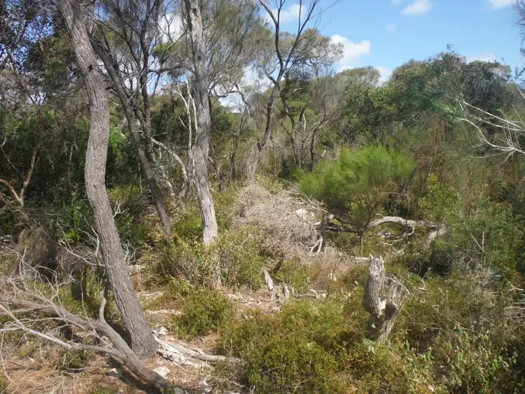 Sixth view of Homely land listing, 21 Endeavour Court, Coffin Bay SA 5607