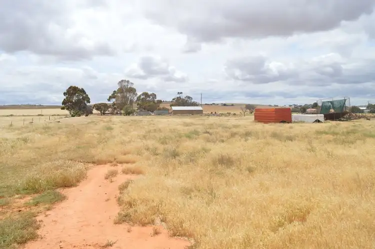 Seventh view of Homely rural property listing, 2547 Black Springs Road, Robertstown SA 5381