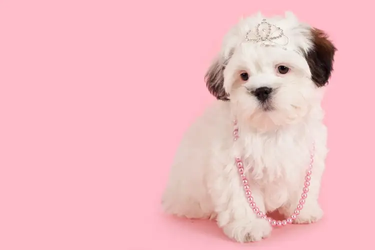 Unit 1 'Alex Sun' 81 Buderim Avenue, Mooloolaba QLD 4557