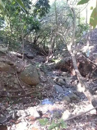 Fourth view of Homely land listing, 149 Barsons Road, Montville QLD 4560