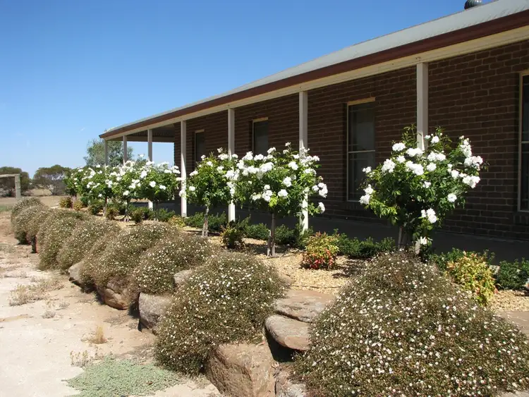 Fifth view of Homely house listing, 59 Old Swanport Road, Murray Bridge SA 5253