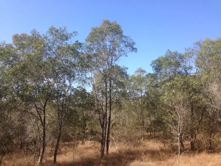 Fifth view of Homely land listing, 613 Diamond Hill Rd, Rosedale QLD 4674