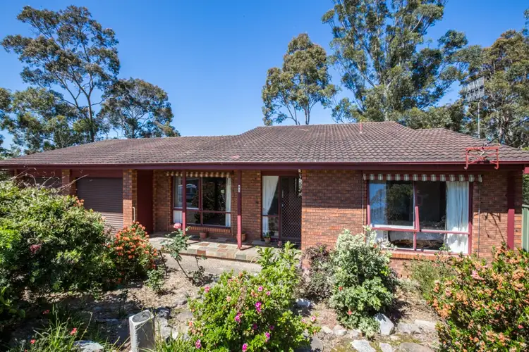 Main view of Homely house listing, 61 Heron Road, Catalina NSW 2536