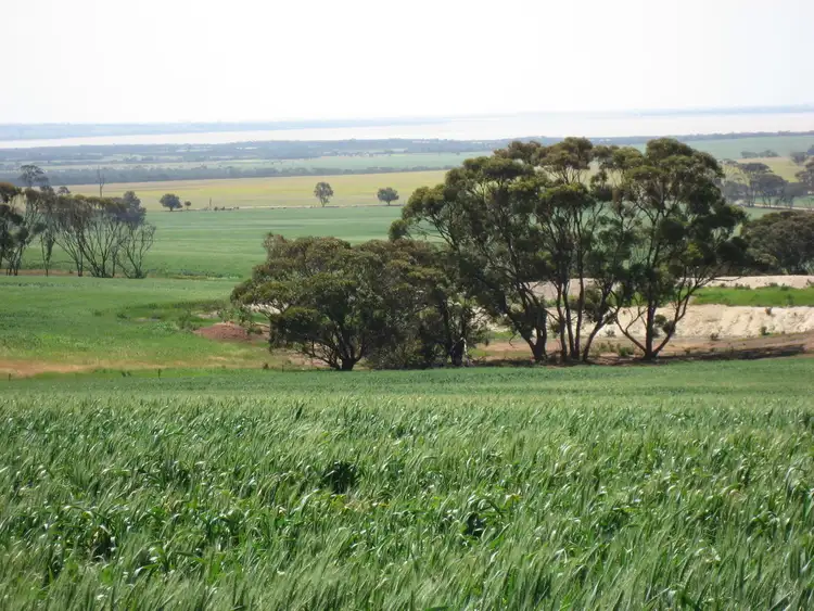 Sixth view of Homely rural property listing, 1205 Jarring South Road Tarin Rock, Lake Grace WA 6353