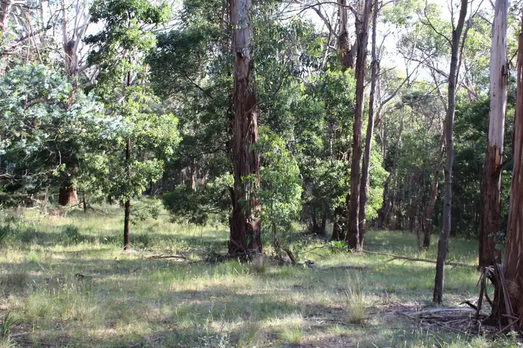 Fifth view of Homely land listing, 31 Blanche Parade, Mount Macedon VIC 3441