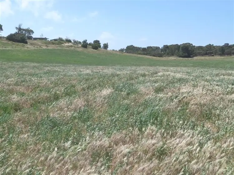 Fourth view of Homely rural property listing, 76A Fiebig Road, Meningie SA 5264