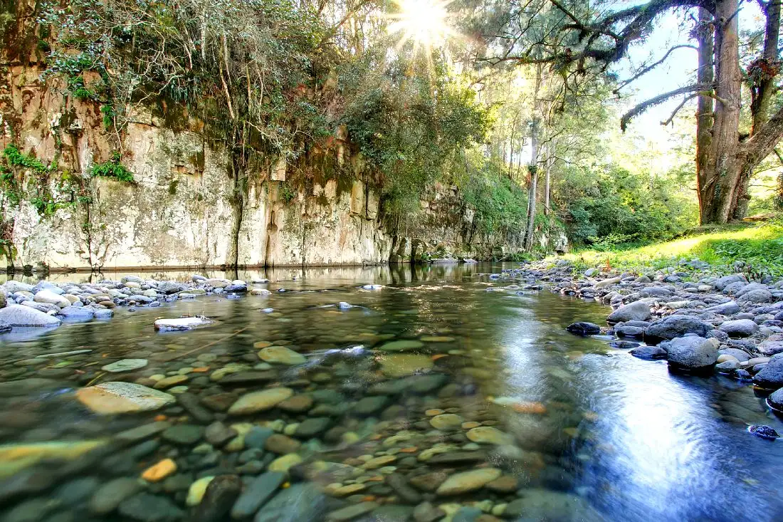 Main view of Homely rural property listing, Lot 86 Shellbrook Creek, East Gresford NSW 2311