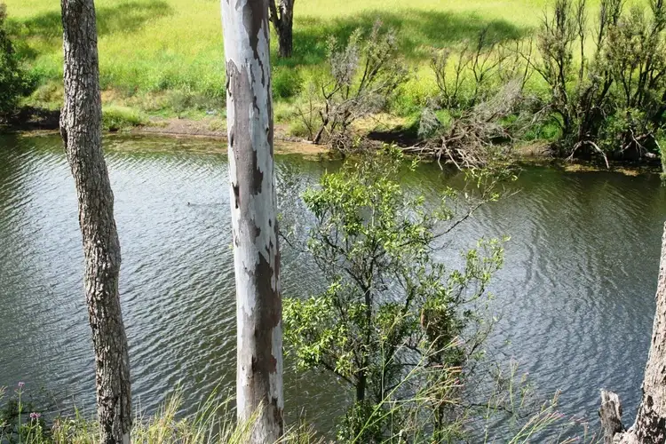 Seventh view of Homely rural property listing, 371 Silverleaf Road, Murgon QLD 4605