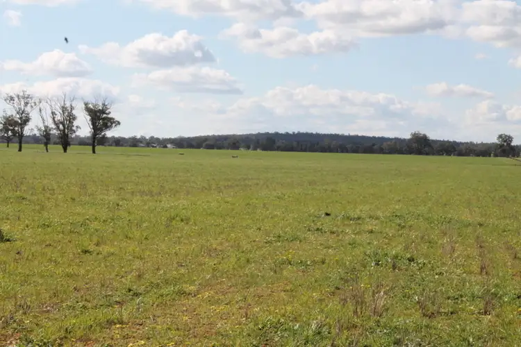 Fourth view of Homely rural property listing, Address available on request