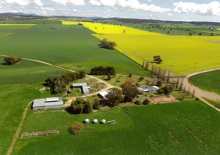 Main view of Homely rural property listing, 135 NEWMANS LANE, Grenfell NSW 2810