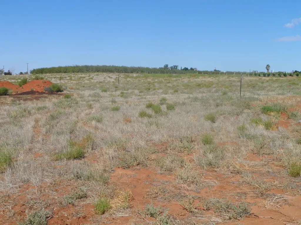 Main view of Homely land listing, 283 Kibby Road, Loxton SA 5333
