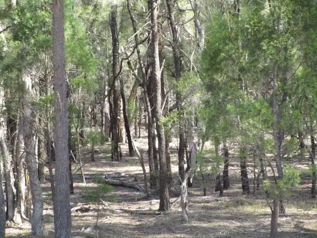 Second view of Homely rural property listing, LOT 19 EMU PARADE, Tara QLD 4421