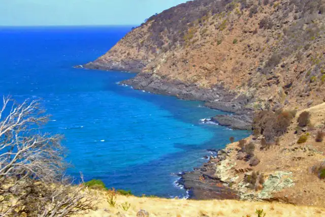 Main view of Homely rural property listing, Lot 100 Ironstone Hill, Penneshaw SA 5222