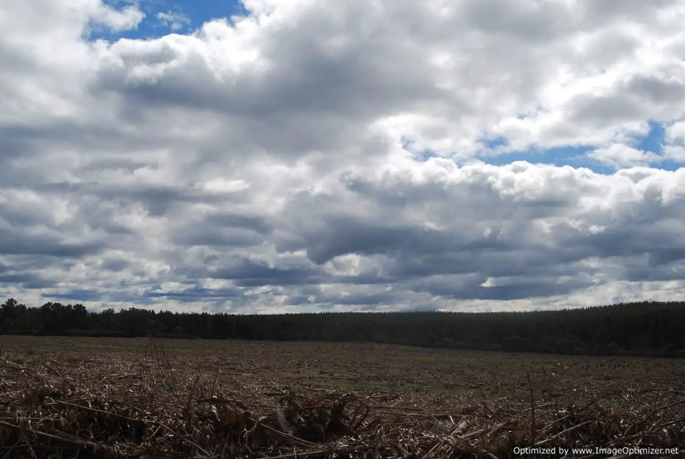 Main view of Homely rural property listing, 00 Old Paisley Road, Munro VIC 3862