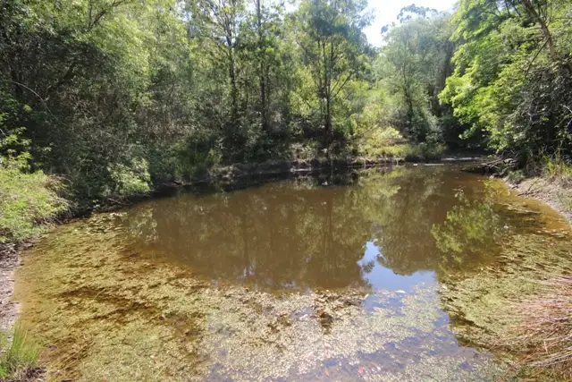 Seventh view of Homely rural property listing, 639 Bellangry Road, Mortons Creek NSW 2446