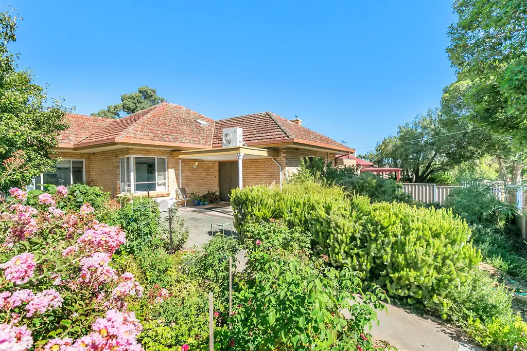 Main view of Homely house listing, 17 Shirley Avenue, Felixstow SA 5070