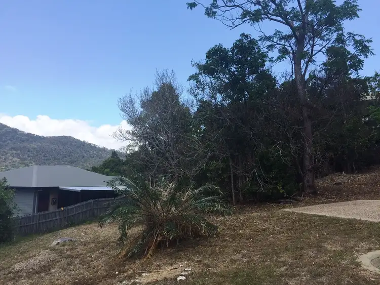 1 Curlew Court, Jubilee Pocket QLD 4802