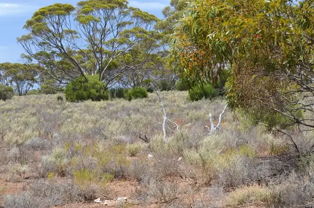 Fourth view of Homely land listing, 138 Gaston Road Fisher VIA, Truro SA 5356