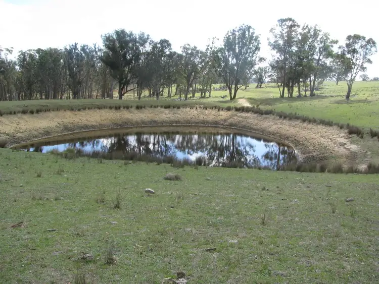 Seventh view of Homely rural property listing, 197 Spring Camp   road, Enmore NSW 2350
